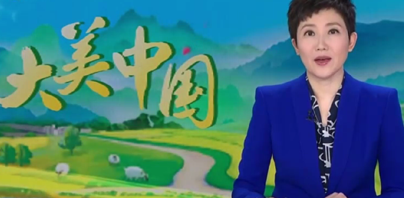 【央媒看新區(qū)】大美中國丨一渠活水穿戈璧 美麗花海映新城